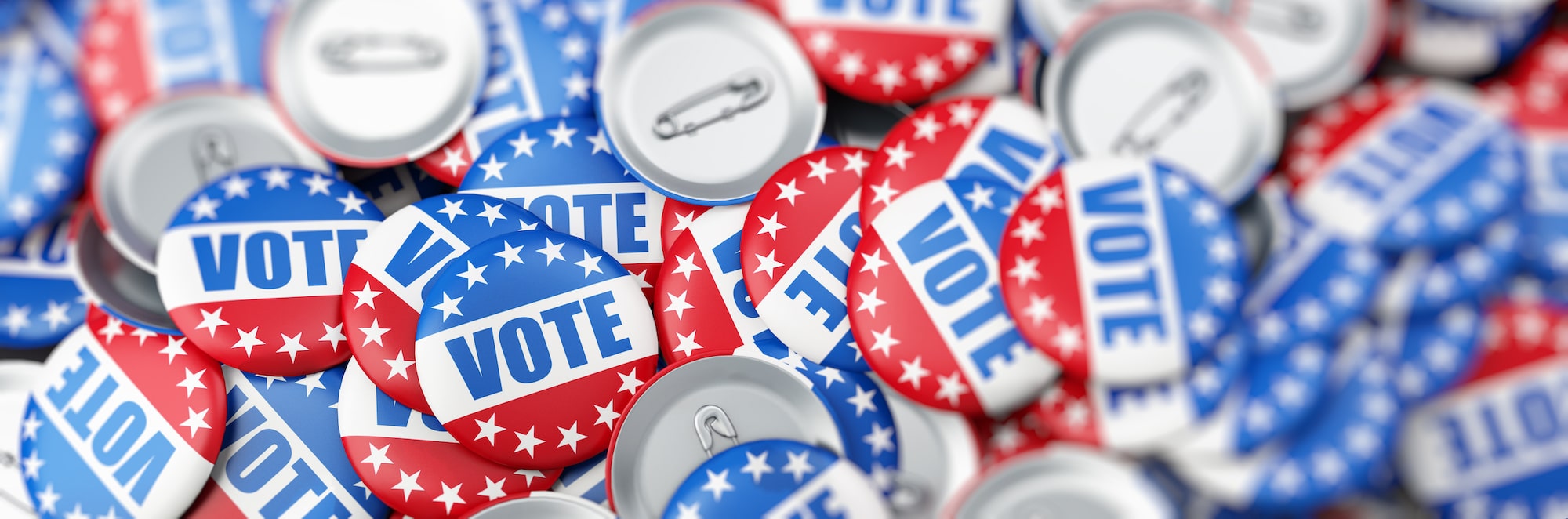 Vote buttons - political consulting - Allyn Media