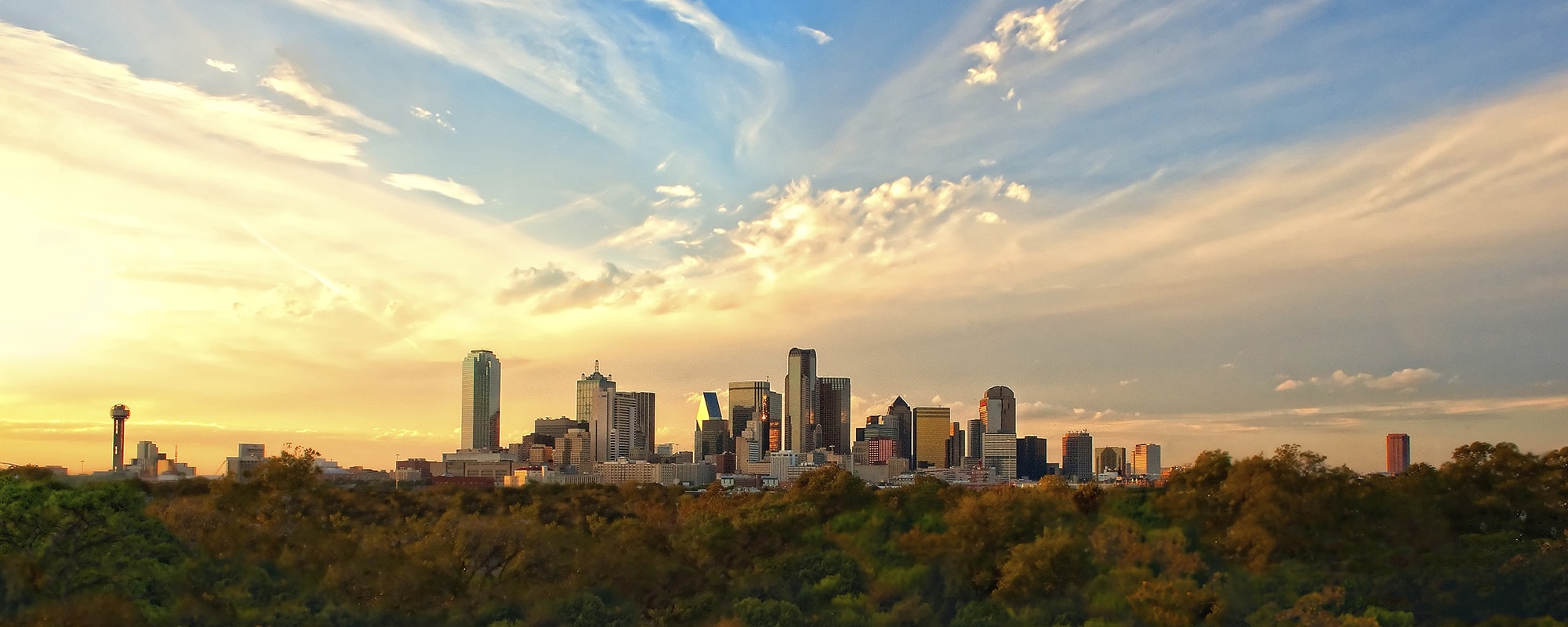 GrowSouth Dallas skyline - Allyn Media